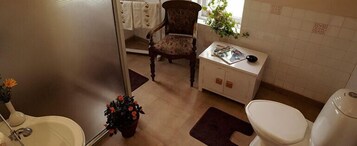 Un baño con inodoro, lavamanos, silla y una mesita con una planta.