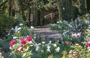 Garden - Valley Lodge & Spa (Magaliesberg)