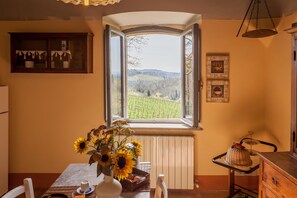Traditional Apartment, 2 Bedrooms, Fireplace, Vineyard View | View from room - Borgo Argenina (Gaiole in Chianti)