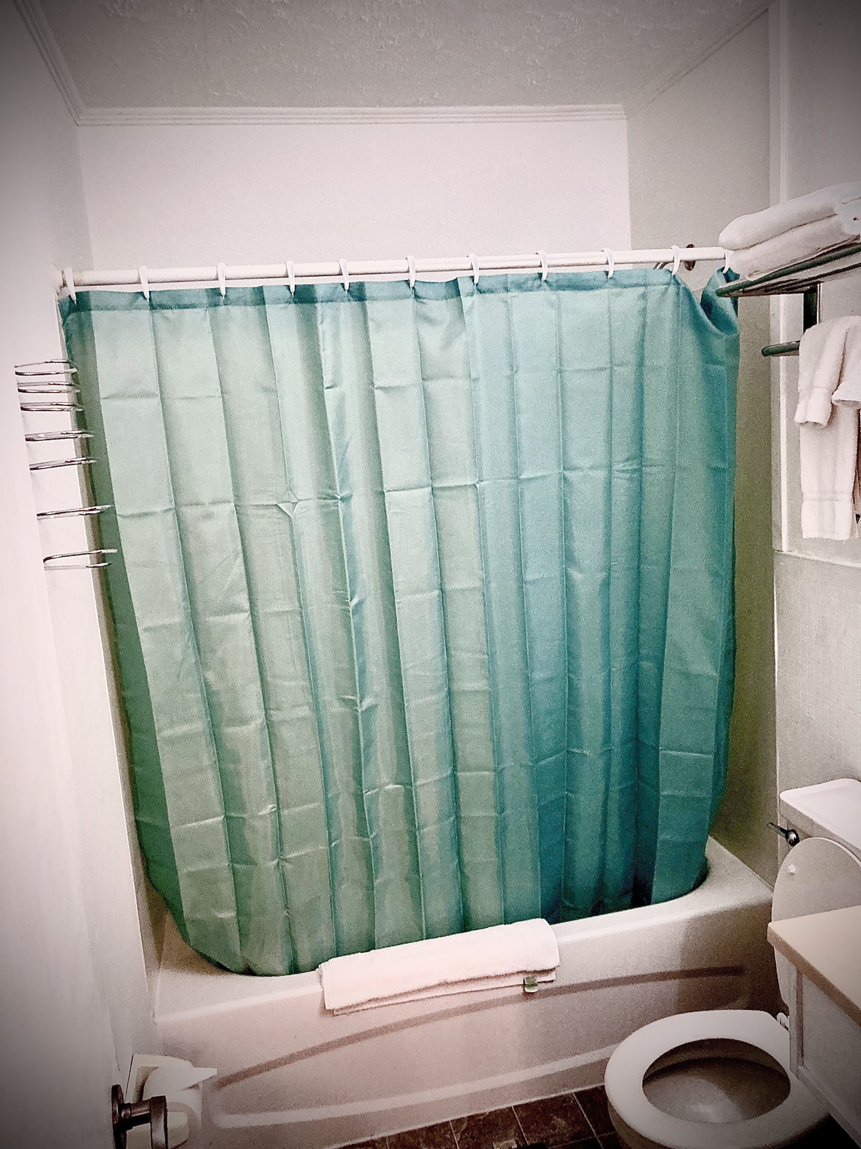 Une salle de bain avec un rideau de douche, des toilettes et un porte-serviettes.