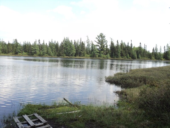 A calm lake with a wooden dock extending into the water, surrounded by dense forest.