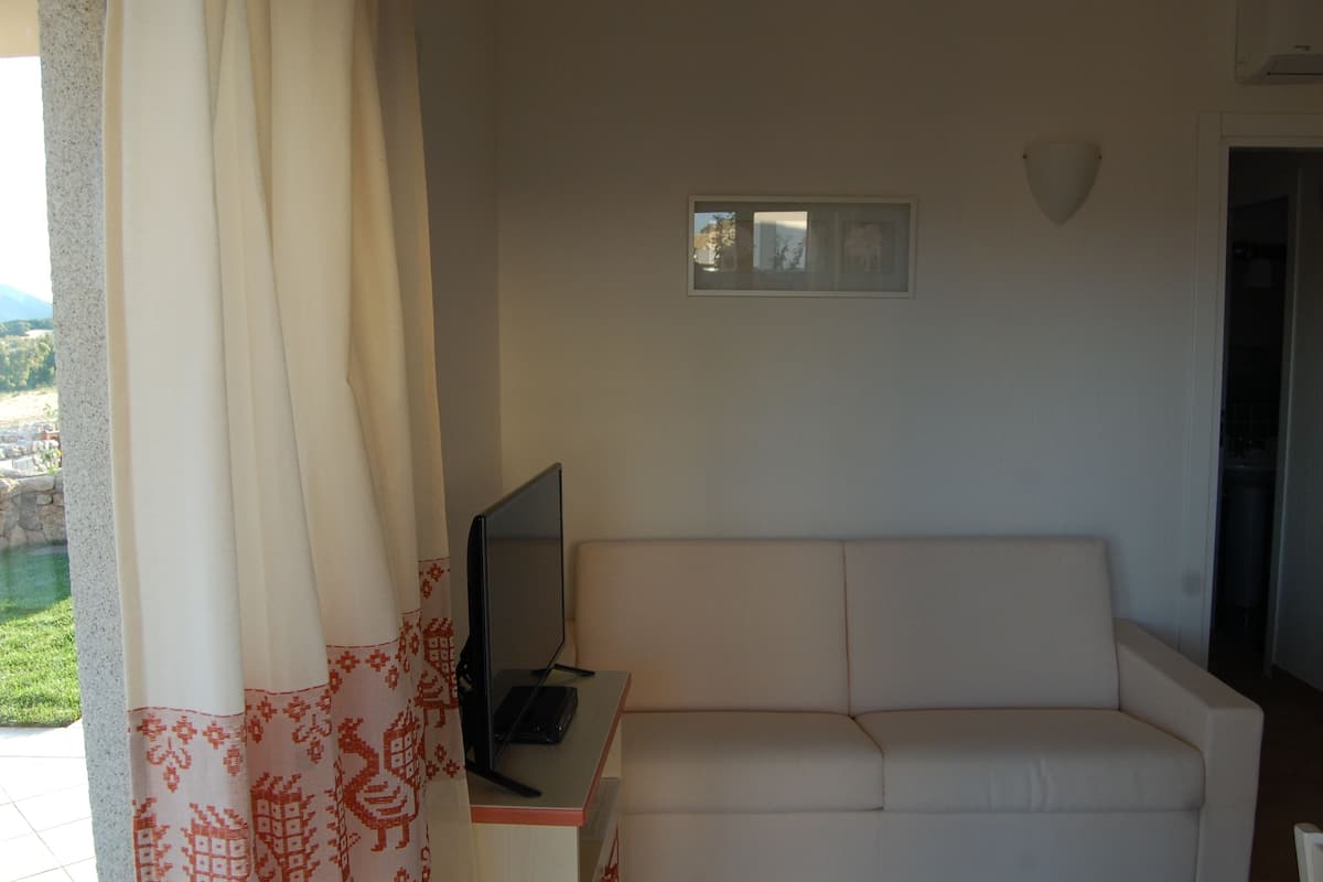 32-inch flat-screen tv with satellite channels, led tv