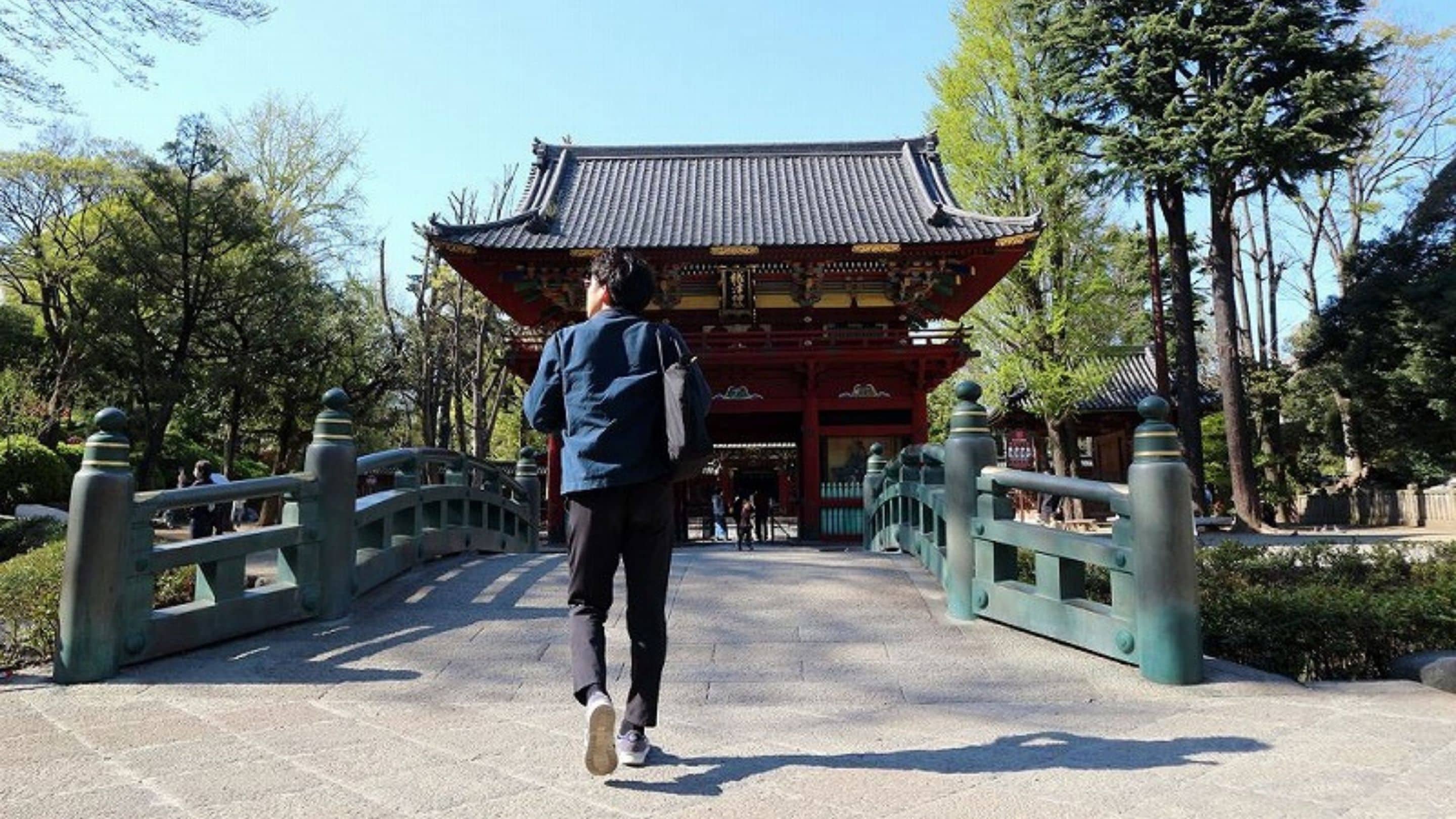 land view from property