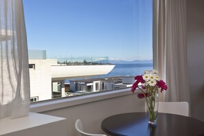 Studio, 1 Queen Bed, Lake View | 3 bedrooms, desk, laptop workspace, iron/ironing board