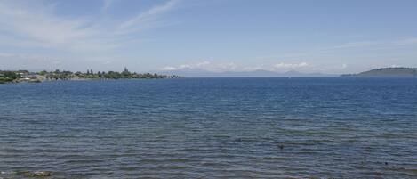 A calm lake with a clear sky, a grassy shoreline, and a distant landmass.