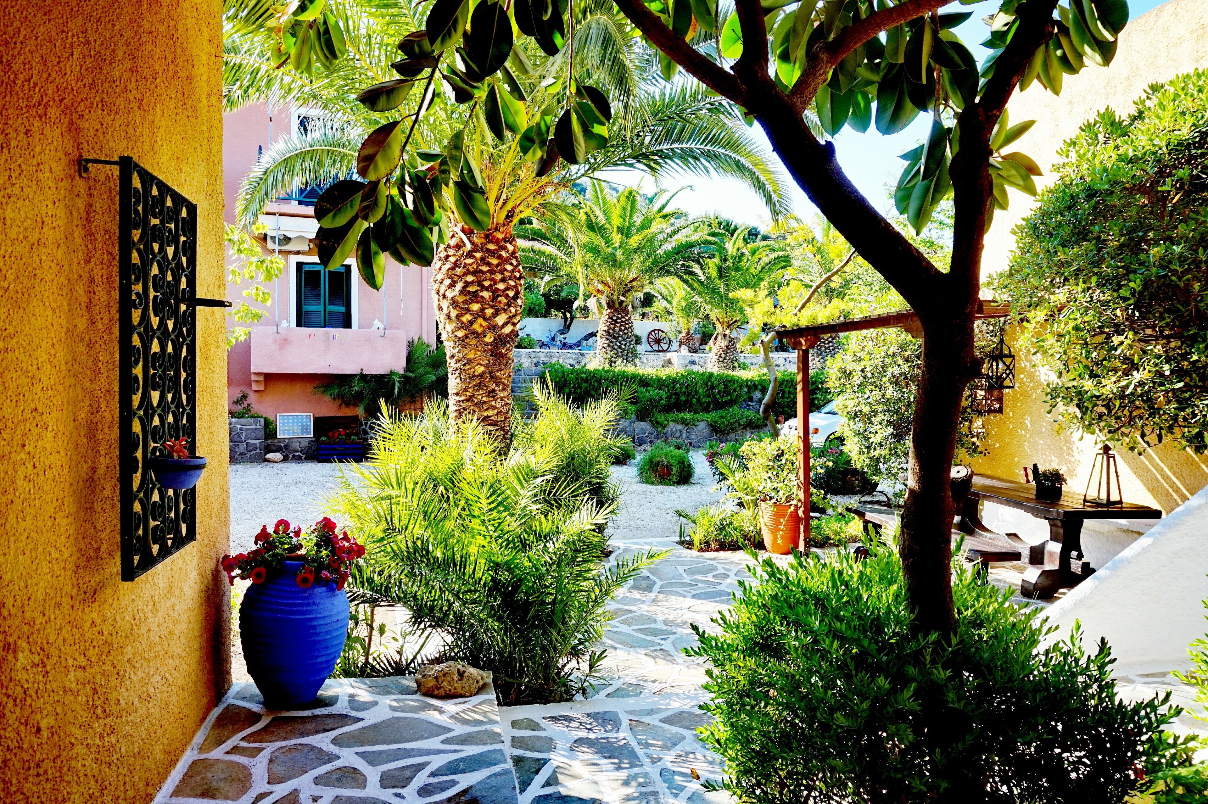 A courtyard with a stone pathway, palm trees, and potted plants.