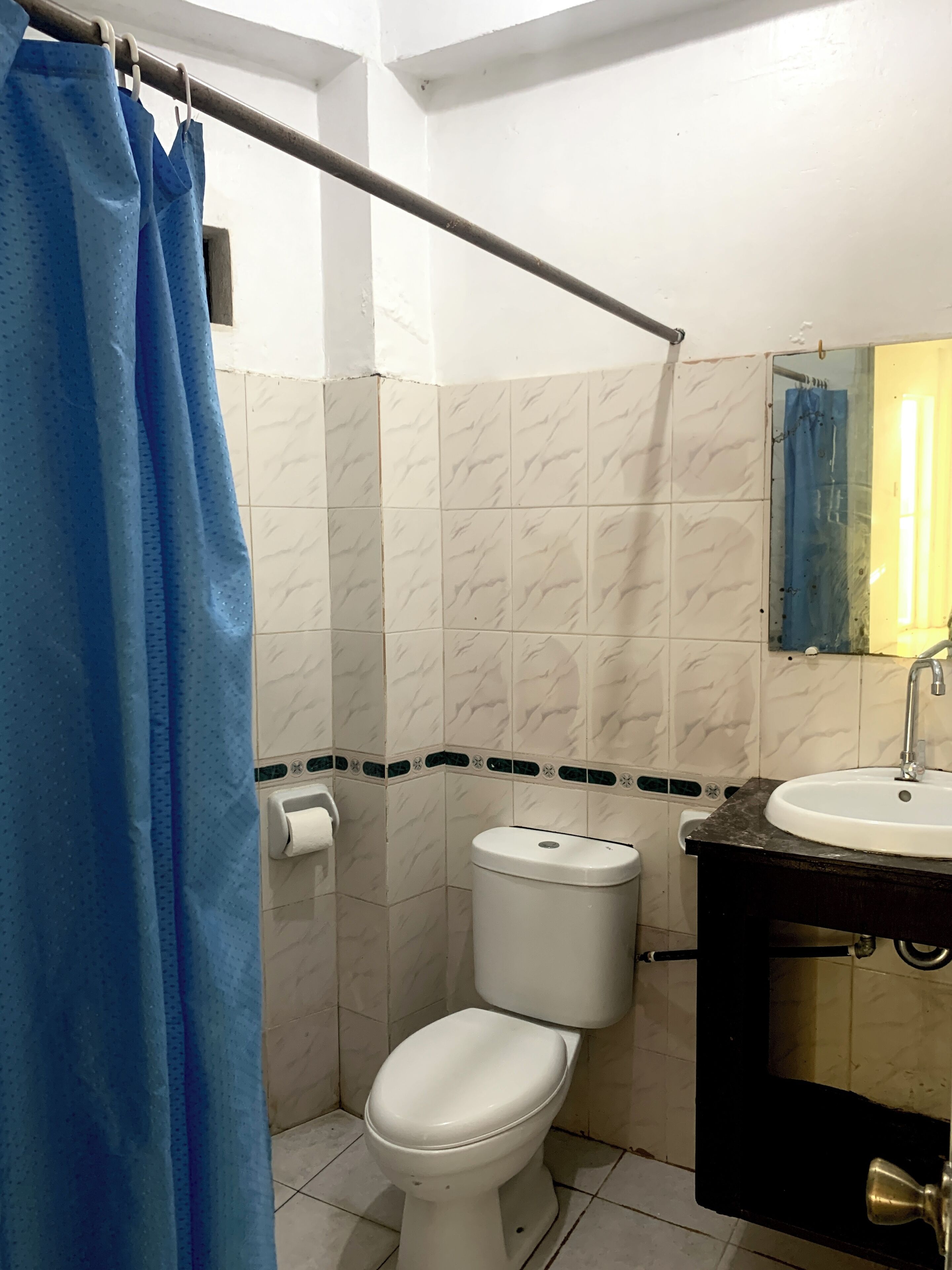 A bathroom with a toilet, a sink, and a shower curtain.