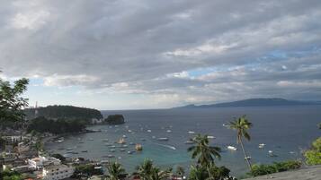 Un pueblo costero con vista al mar, barcos y palmeras.