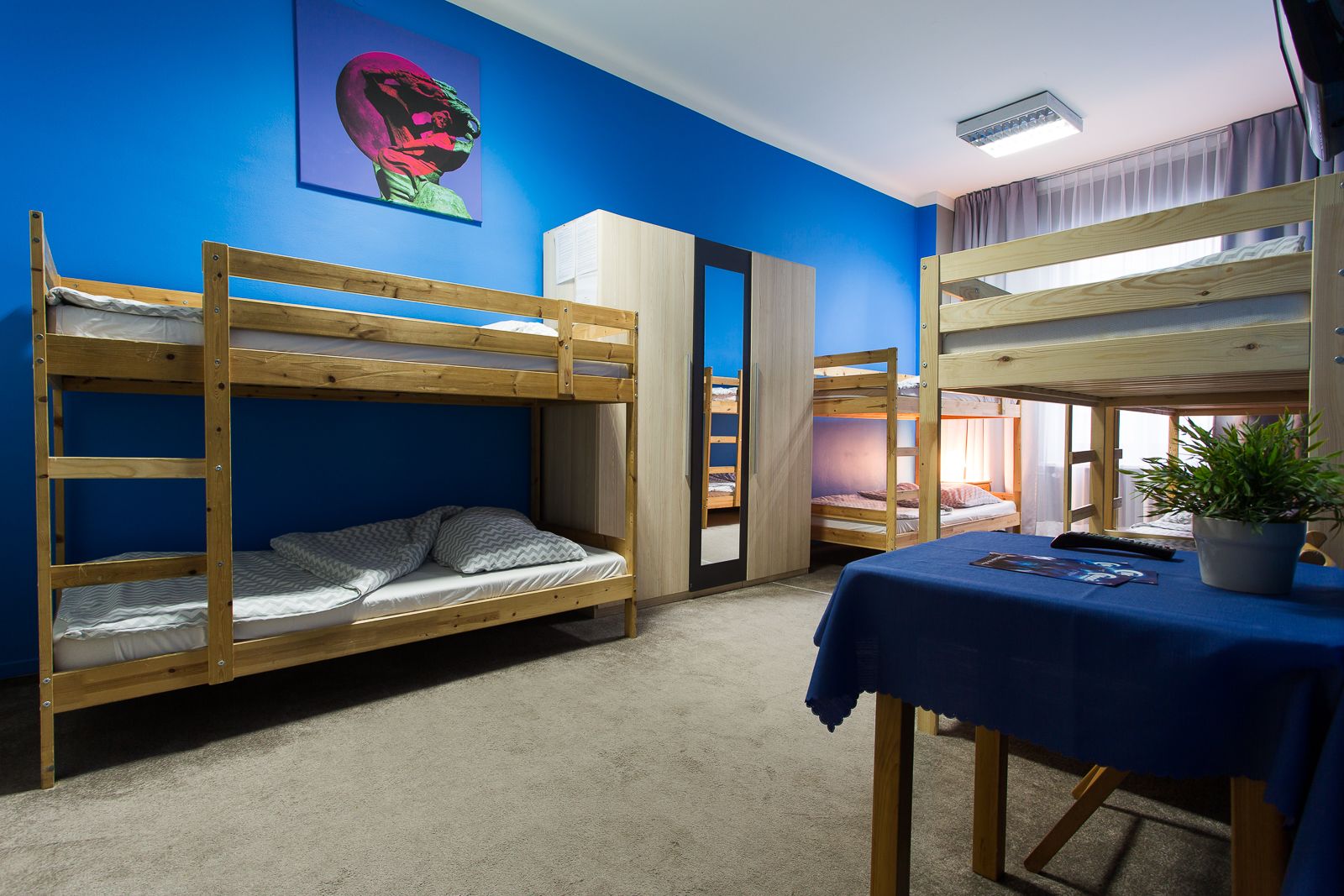 Ein Studentenwohnheimzimmer mit Etagenbetten, einem Schreibtisch und einer Zimmerpflanze.