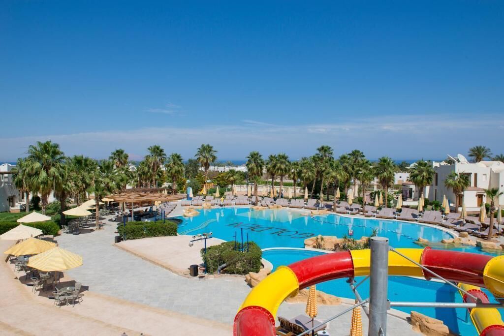 Ein Poolbereich mit Liegestühlen, Sonnenschirmen und Palmen.