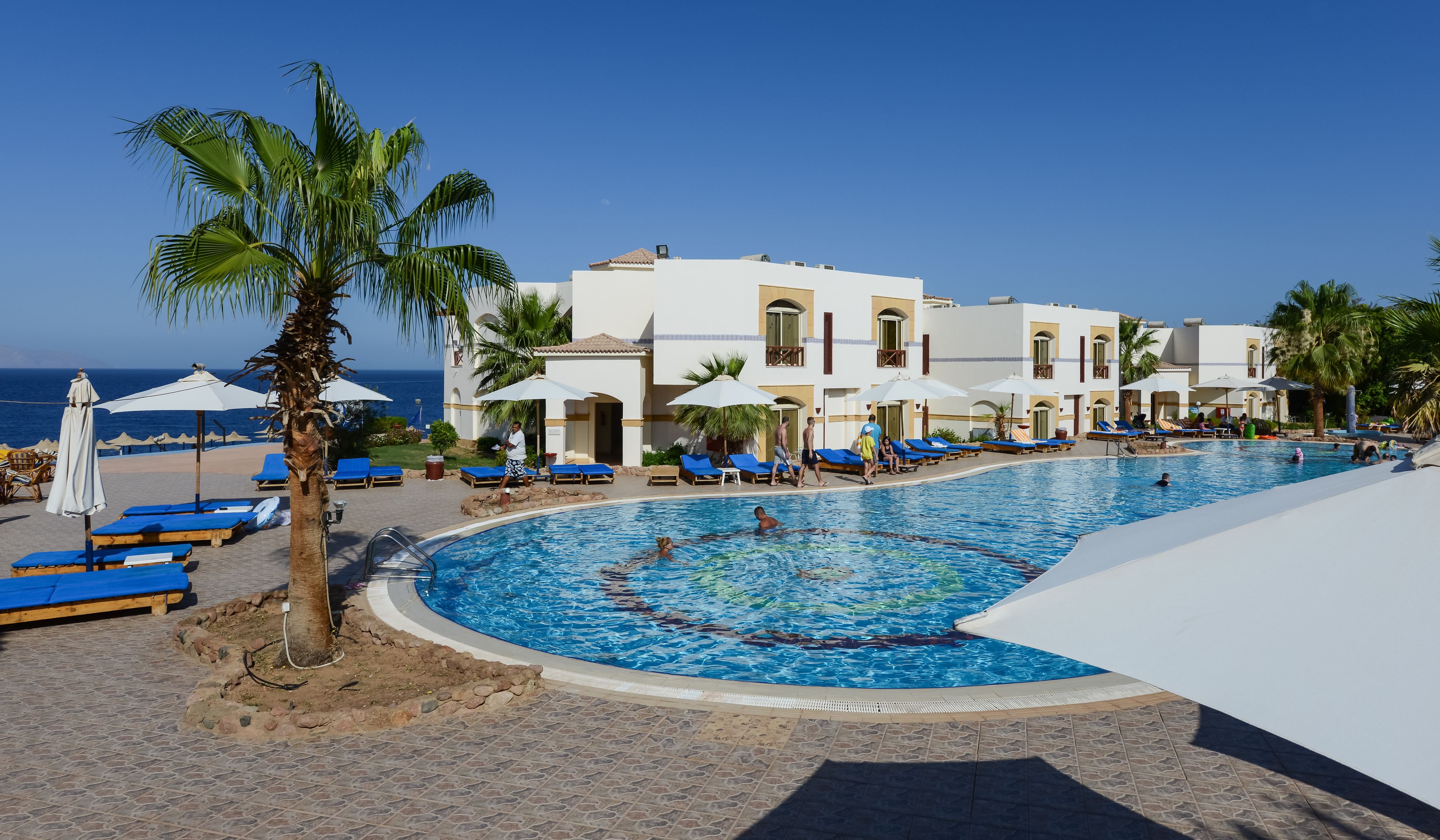A pool area with blue lounge chairs, palm trees, and a building with arched windows.