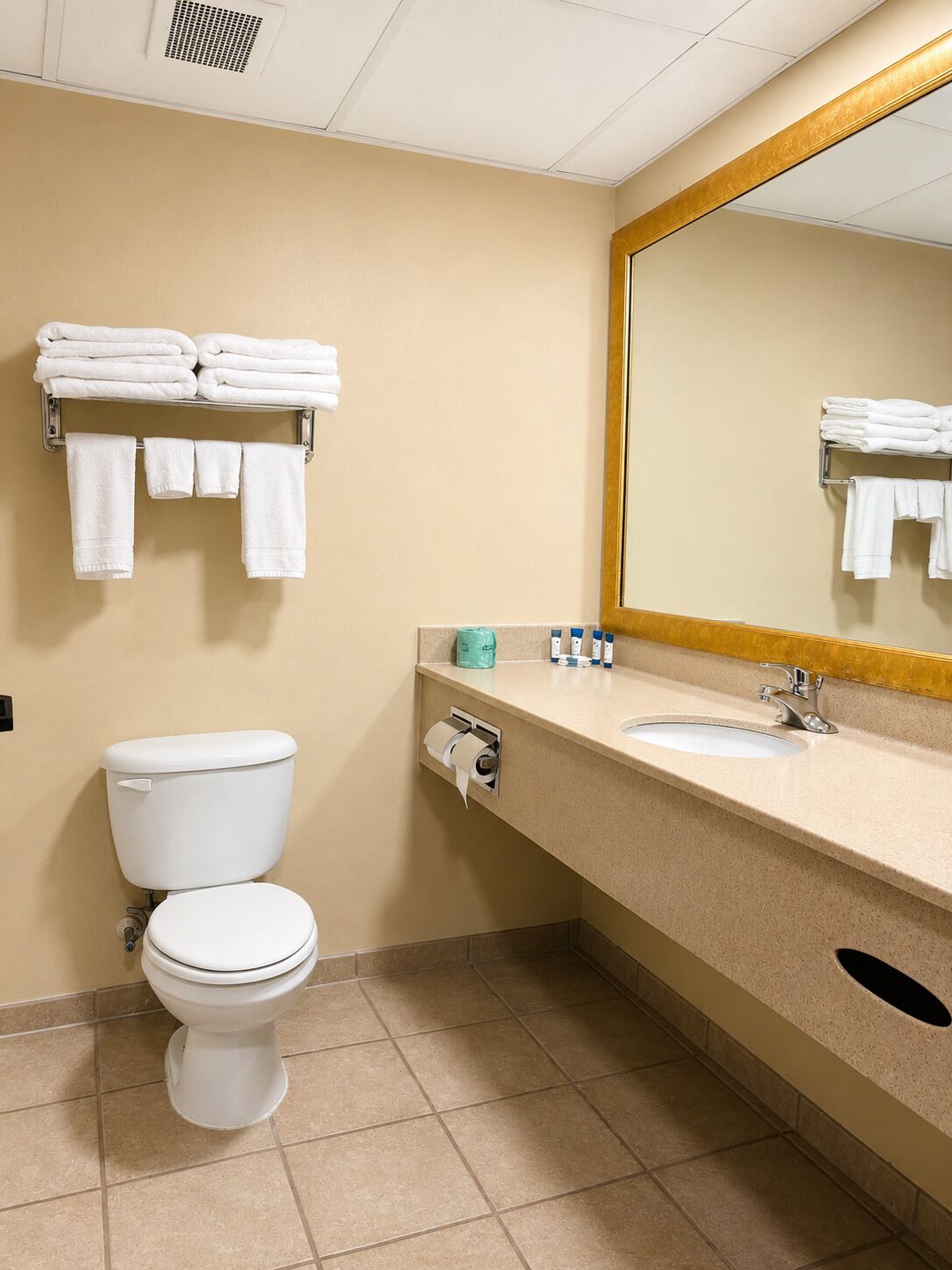 Suite (Jacuzzi) | Bathroom | Free toiletries, hair dryer, towels