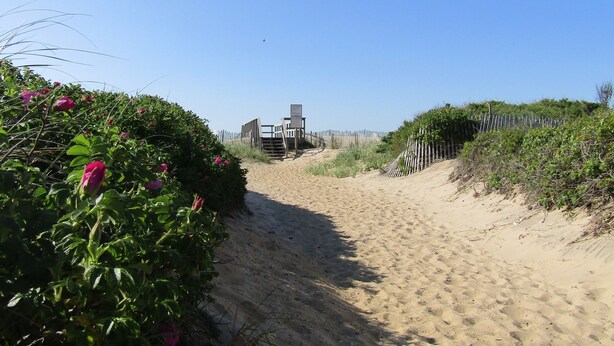 A sandy path flanked by dense vegetation and a wooden fence, leading to a structure with a signboard. - Solé Beach (Montauk)