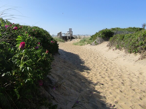 Front of property - Sole East Beach (Montauk)