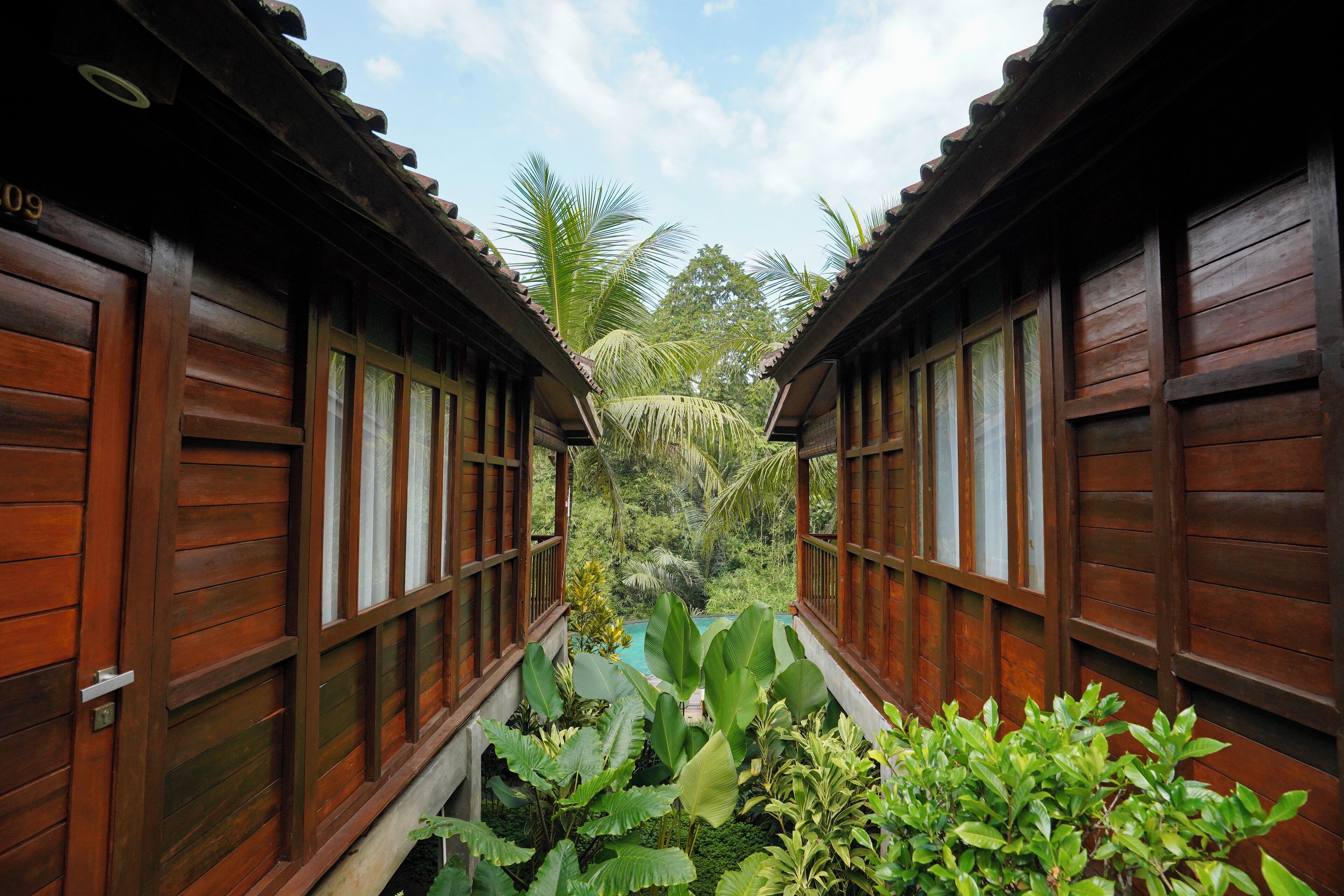 A wooden corridor with large windows and a view of a tropical garden and palm trees.