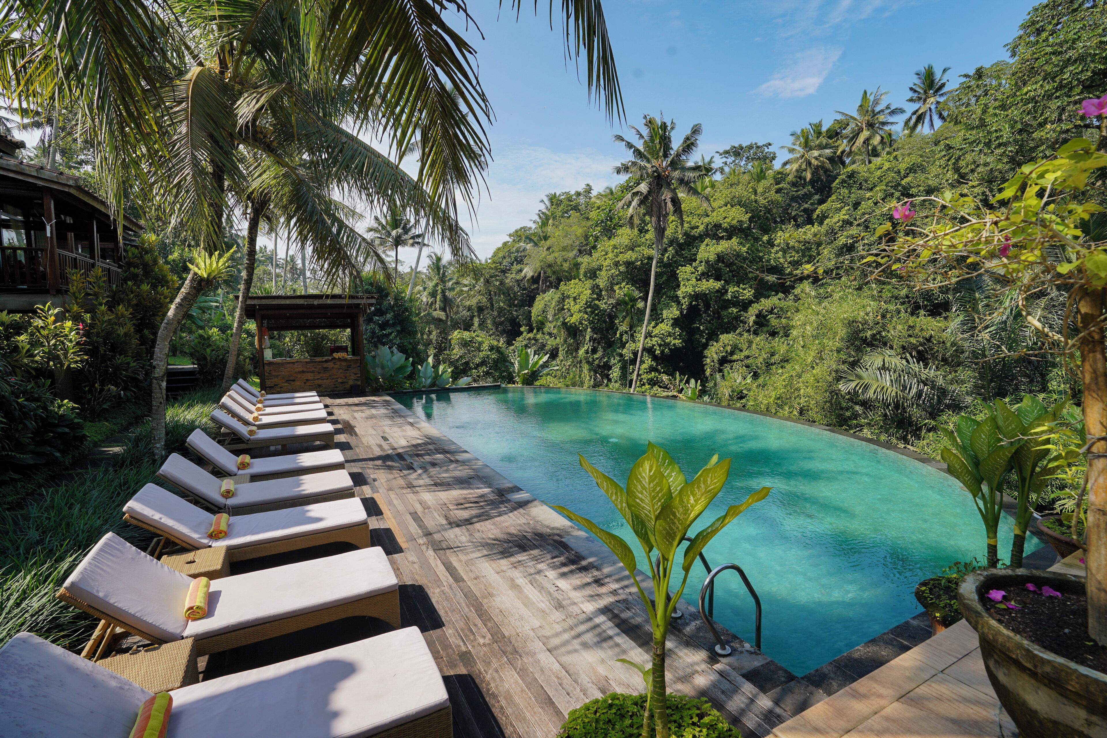 2 室外游泳池，日光浴躺椅