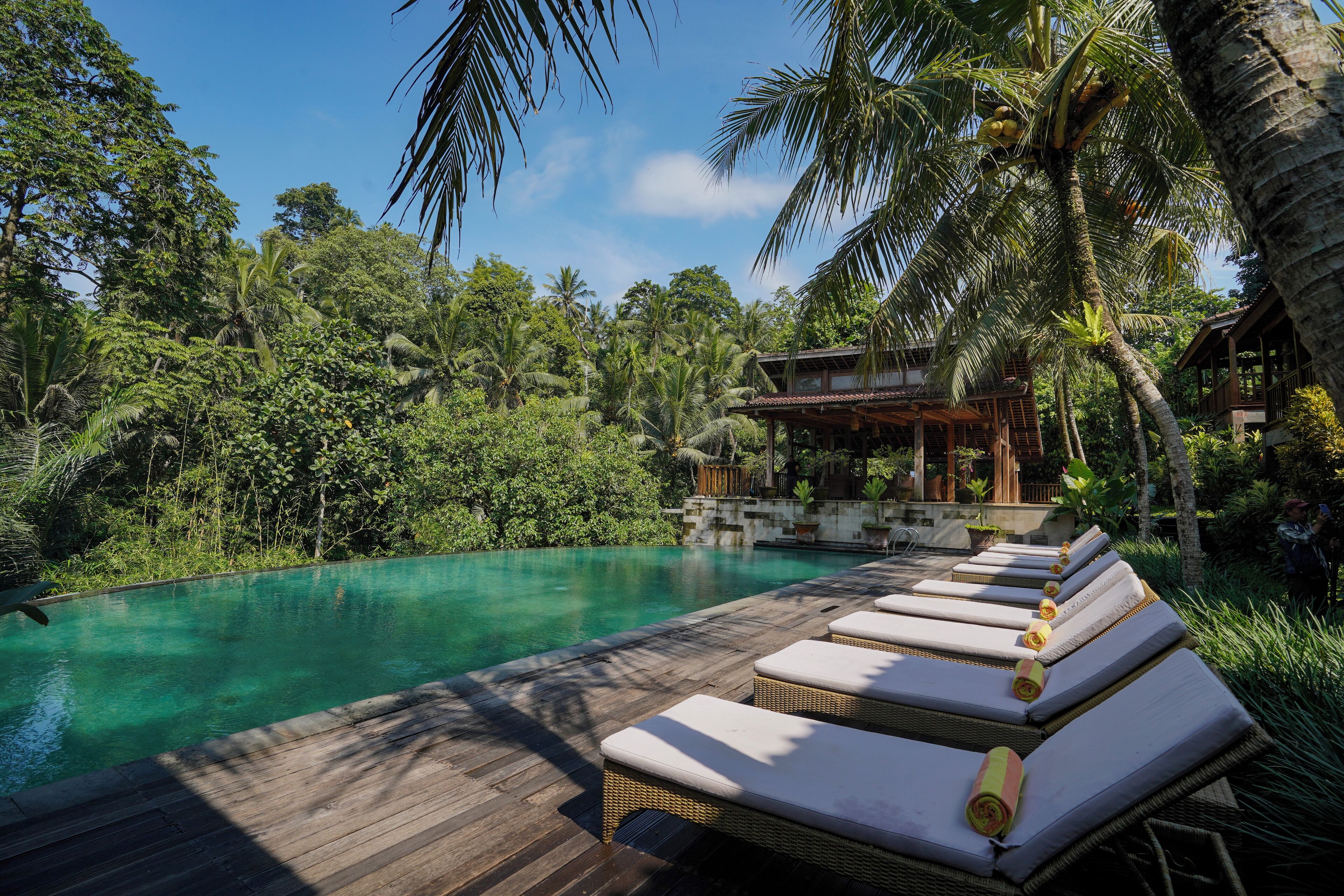 2 室外游泳池，日光浴躺椅