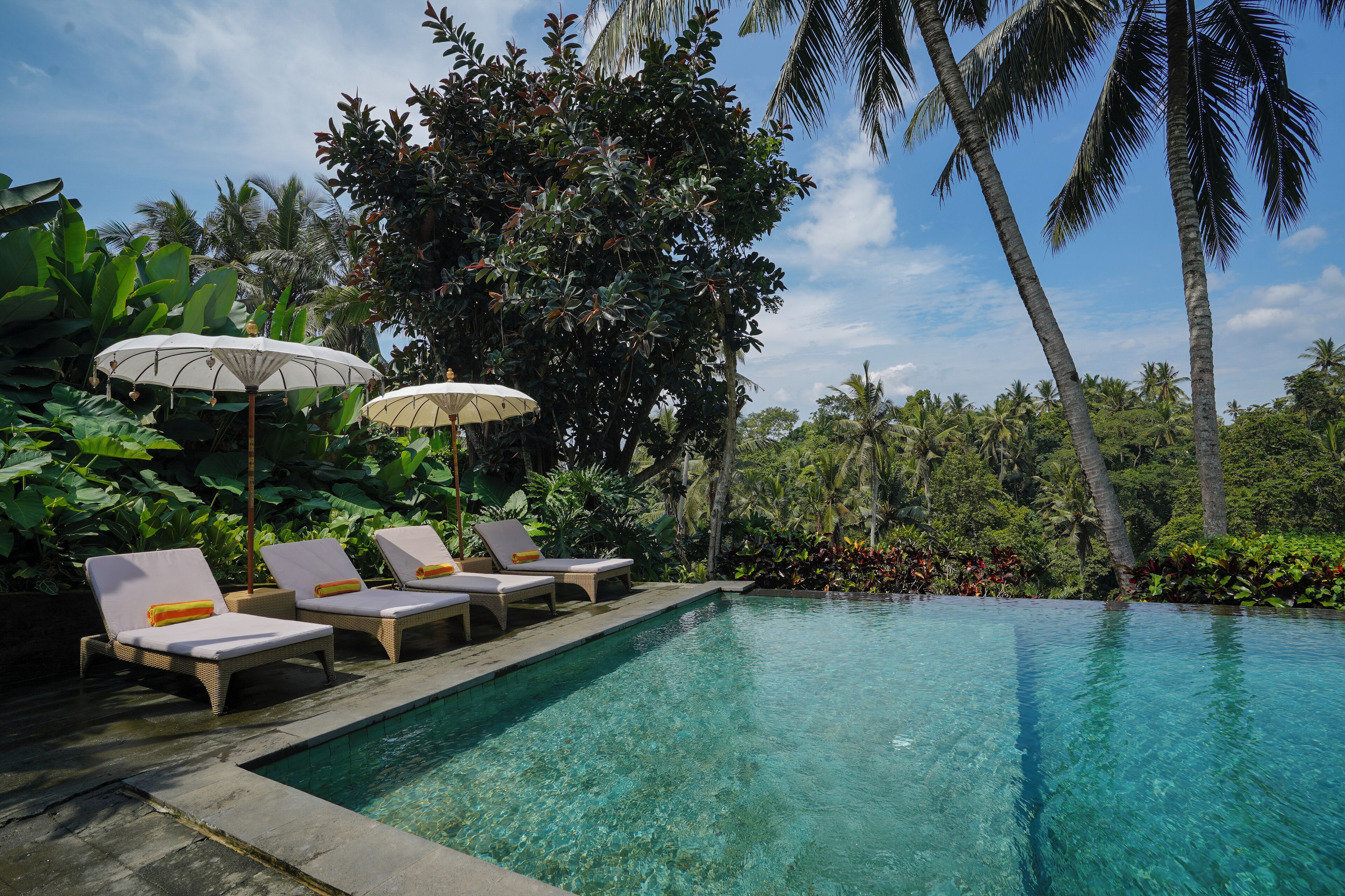 A clear swimming pool with lounge chairs and umbrellas, surrounded by lush greenery and palm trees.