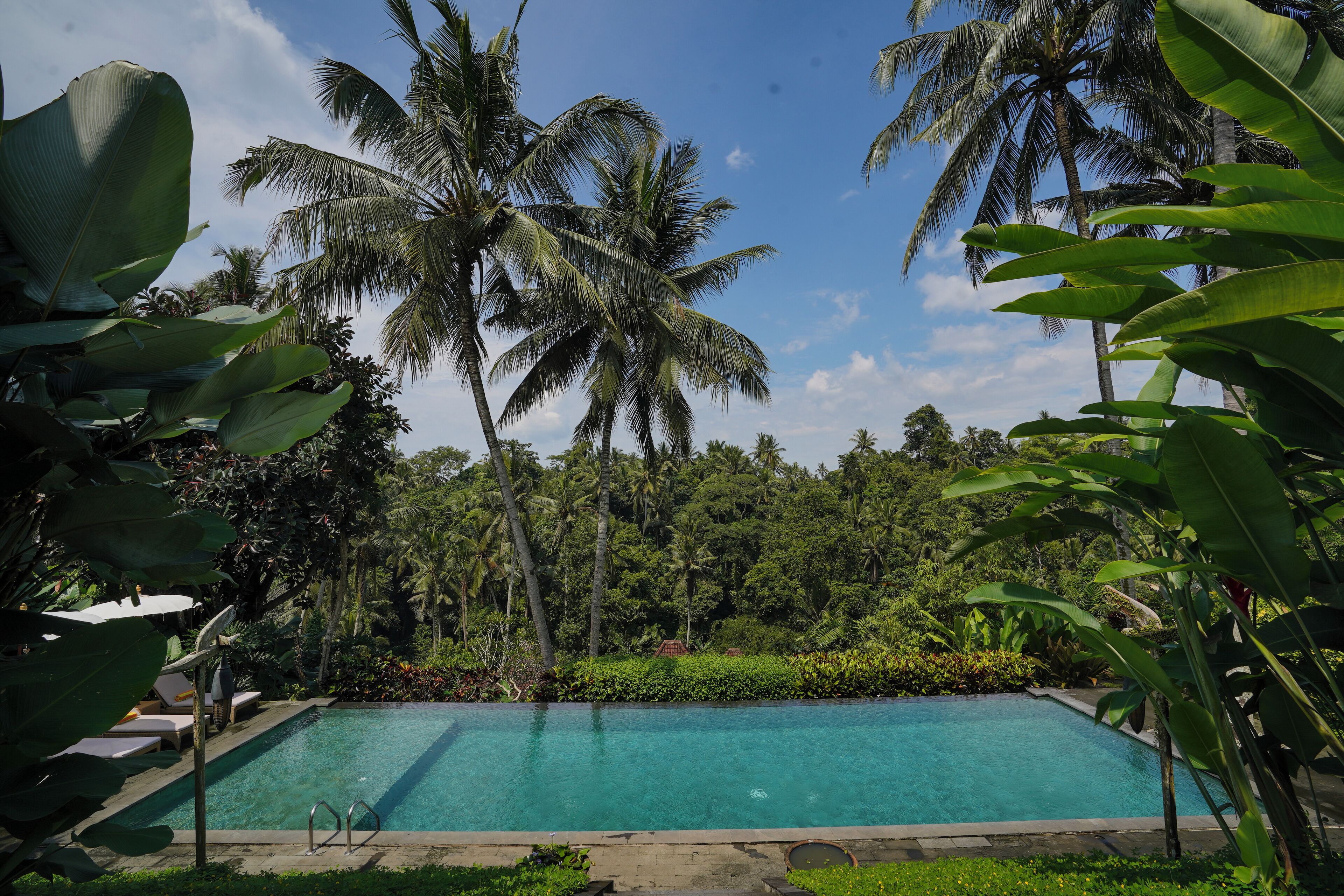 A clear blue pool surrounded by lush tropical vegetation and palm trees.