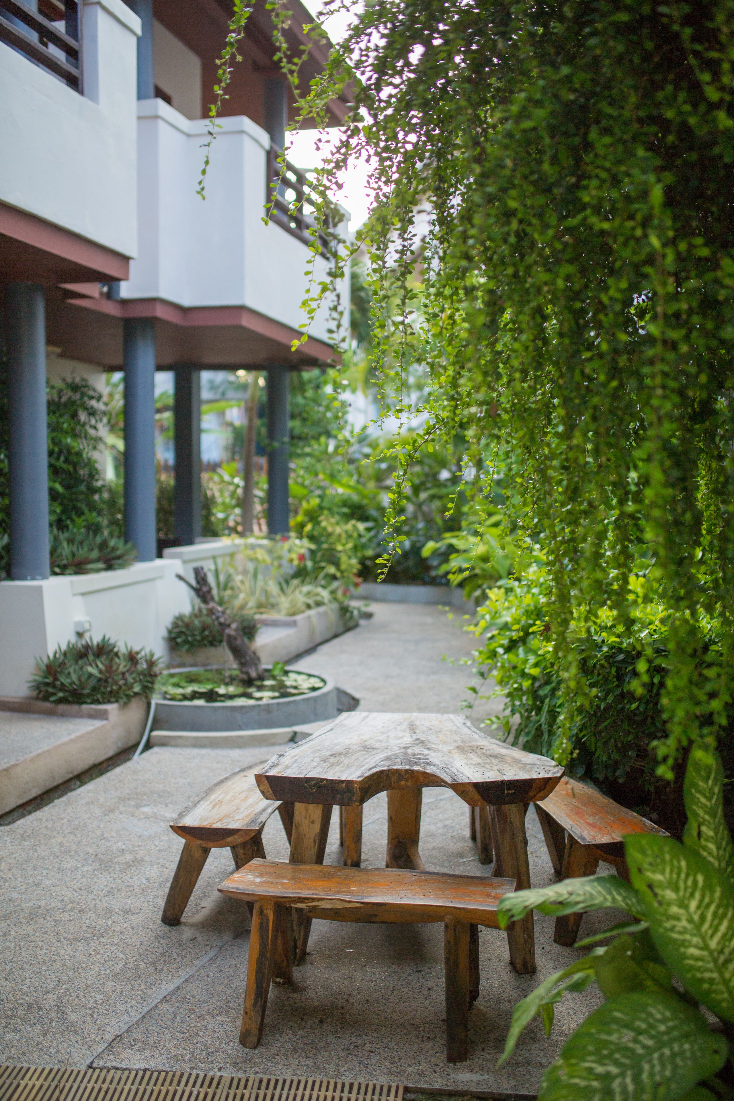 Foto - Sunrise Resort- Koh Phangan - SHA Extra Plus