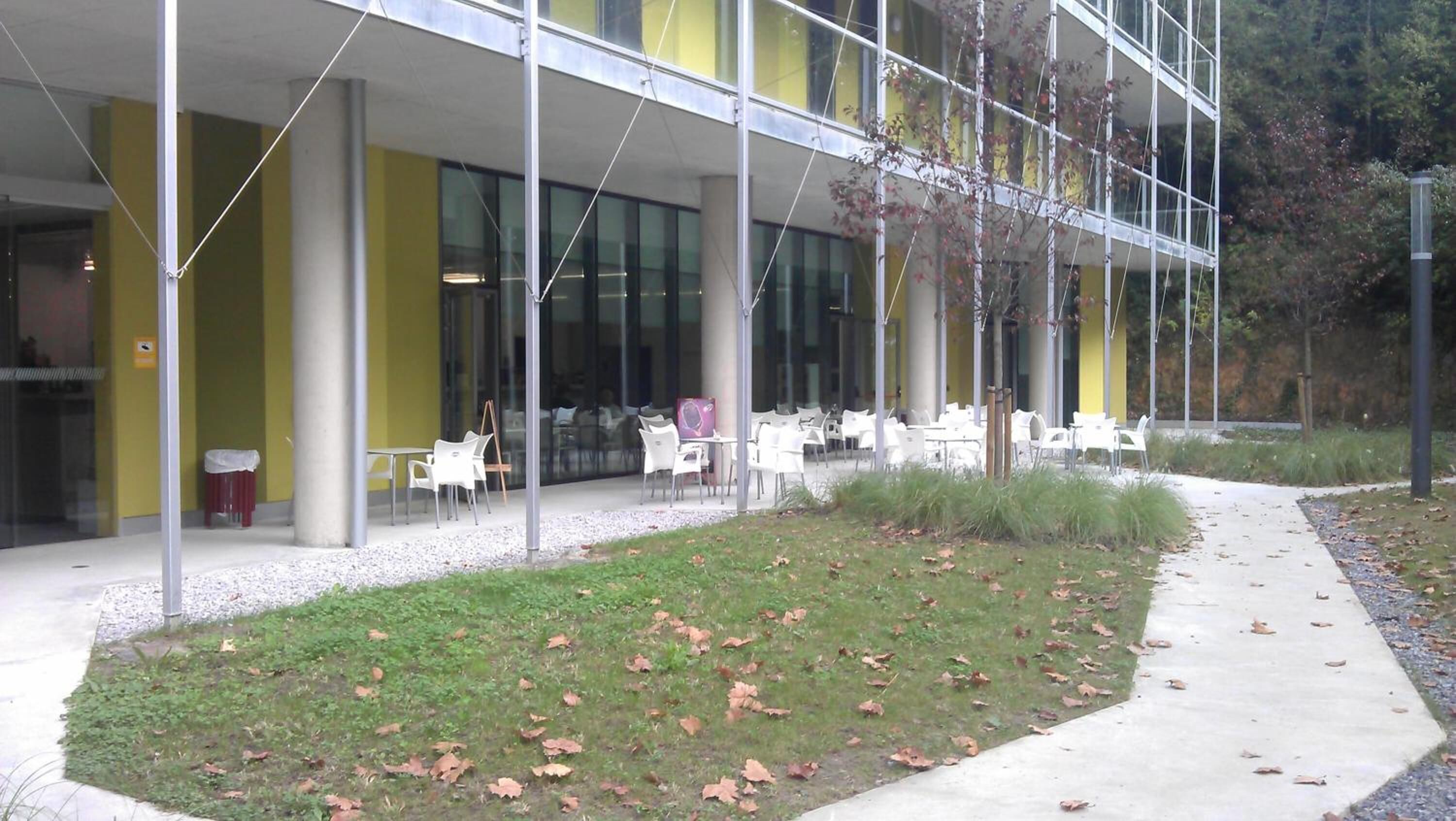 Un área de estar al aire libre con mesas y sillas, un césped con hojas caídas, y un edificio moderno con grandes ventanales y paredes amarillas.