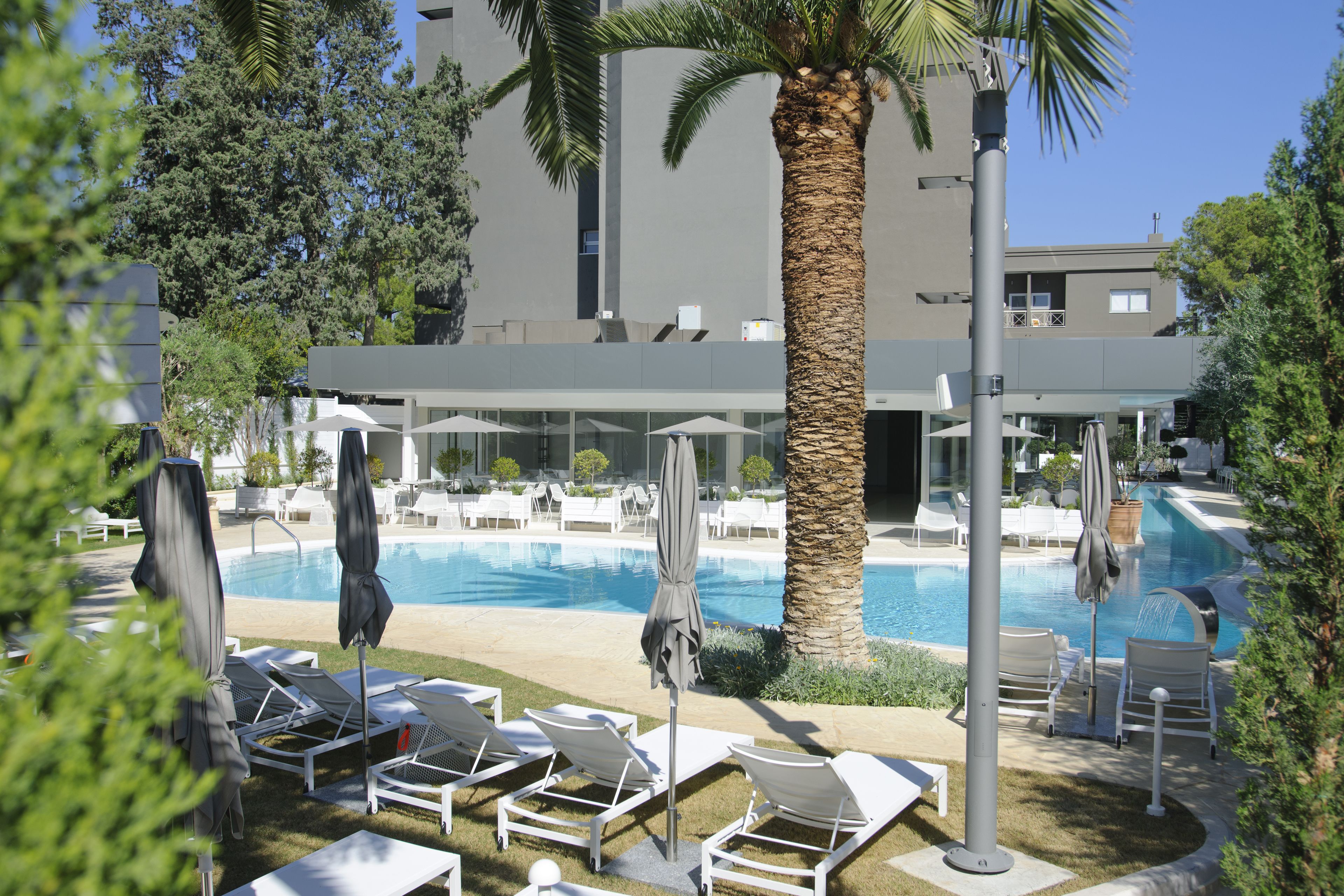 A poolside area with lounge chairs and umbrellas, a palm tree, and a modern building in the background.