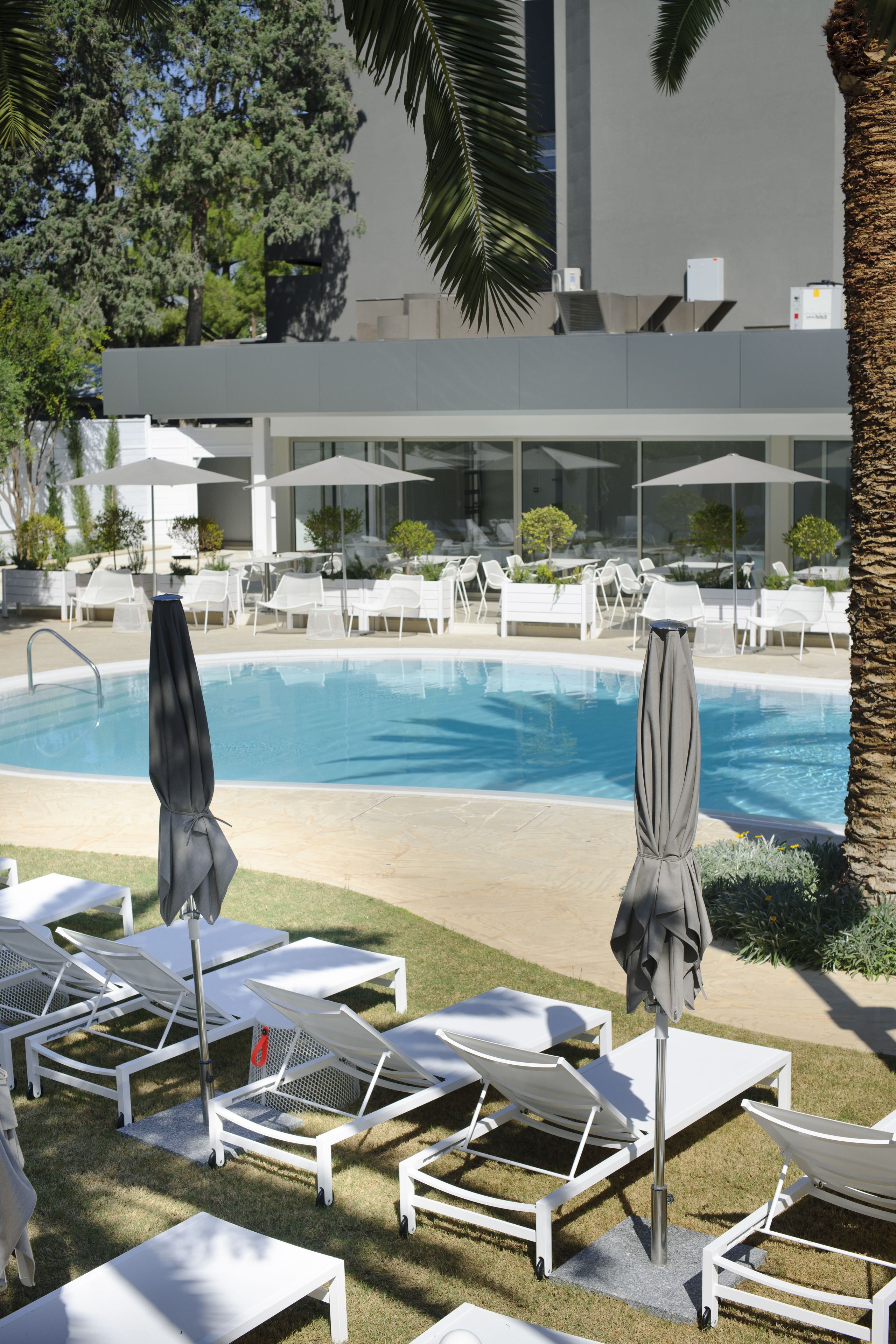 A poolside area with lounge chairs and umbrellas, a swimming pool, and a modern building in the background.