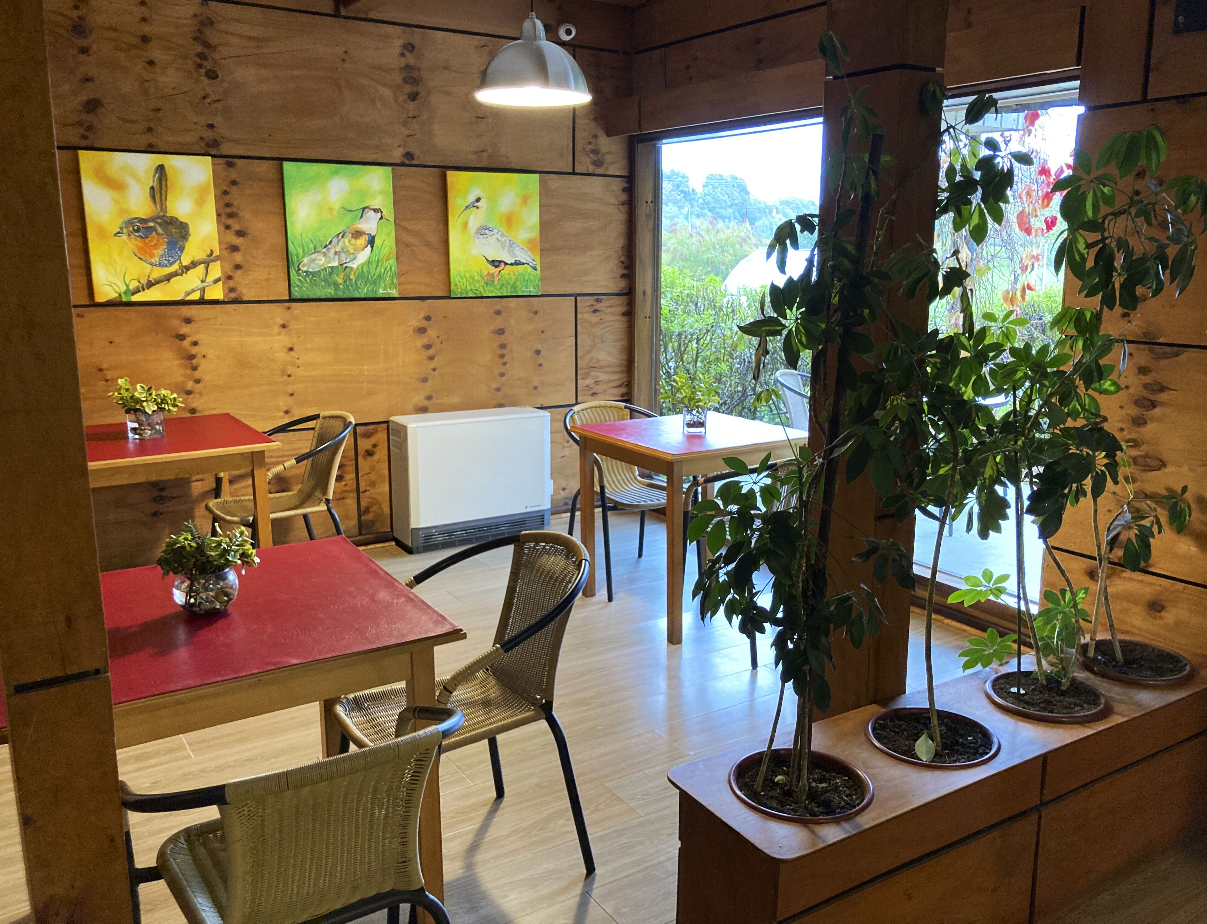 Photo - Hotel Truyaca