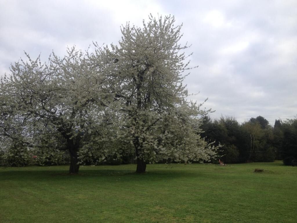 Photo - Hotel Truyaca