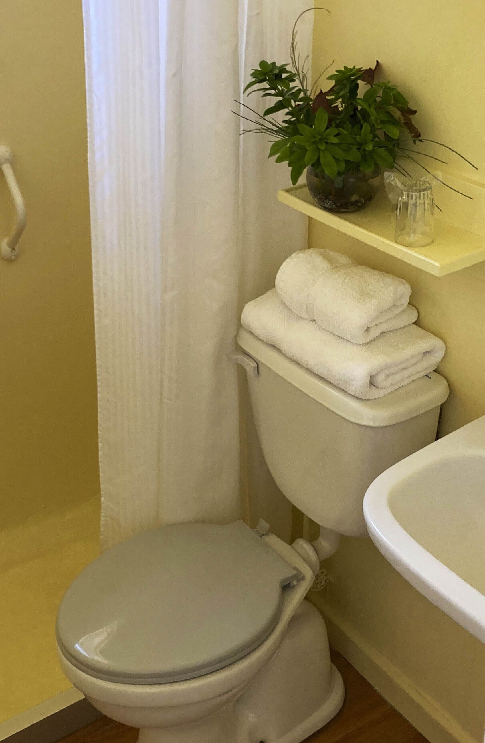 Photo - Hotel Truyaca