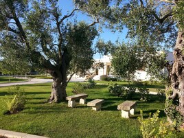 Un parque con tres bancos de piedra, un árbol grande y un edificio al fondo.