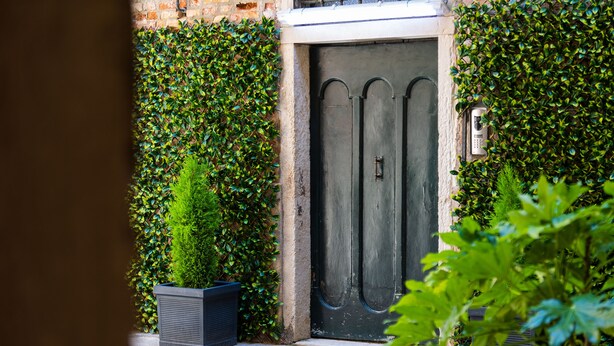A black door with a metal handle, flanked by lush green ivy, and two black planters with green plants. - Ca Maria Callas (Venice)