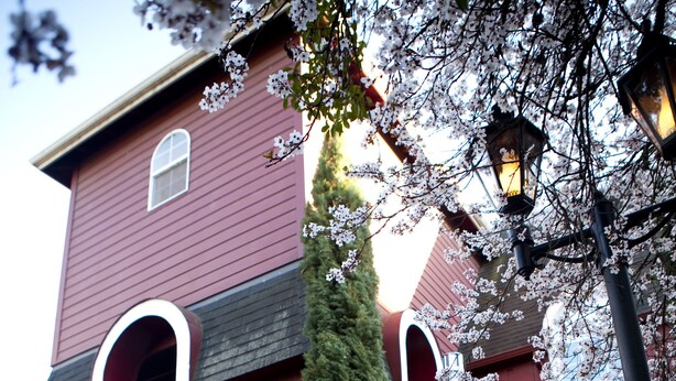 Restaurant - Excelsior Inn (Eugene)