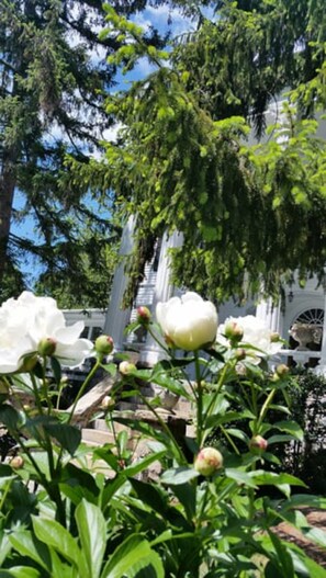 Garden - Albemarle Inn (Asheville)