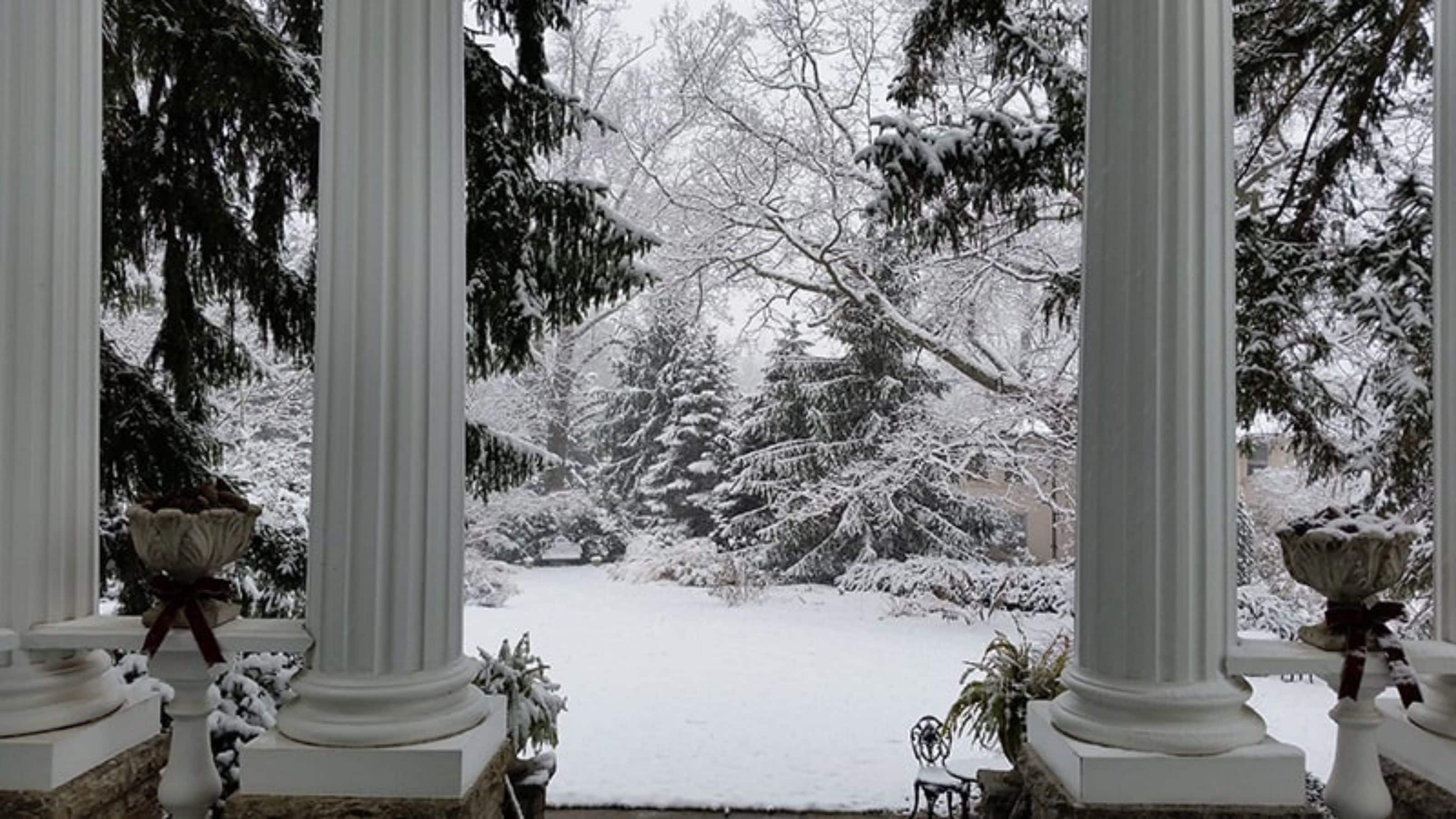 숙박 시설 정면