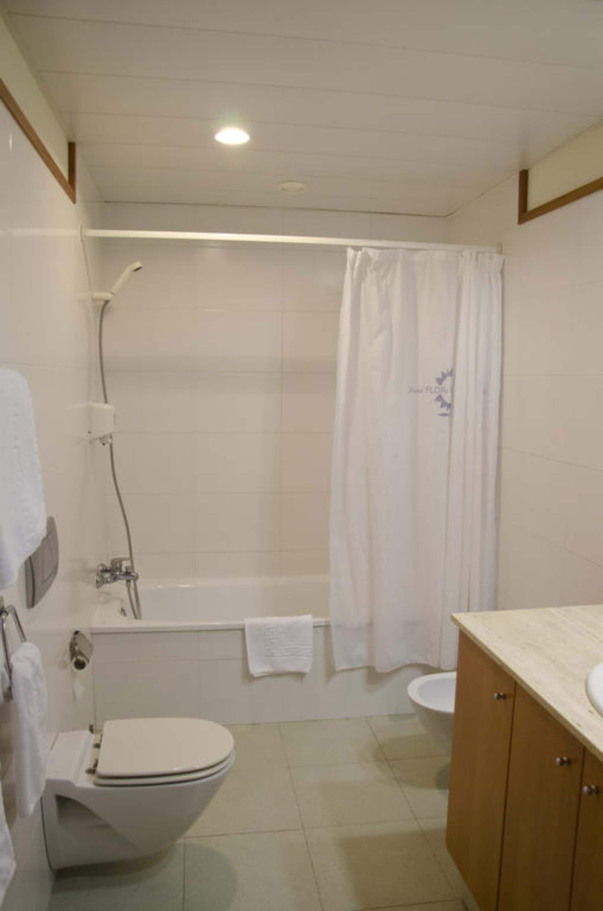 family room | bathroom | combined shower/bathtub, free toiletries, hair dryer, bidet