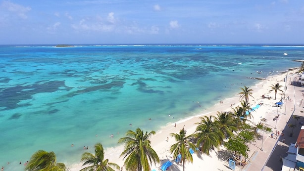 A beach with clear turquoise waters, palm trees, and a sandy shore.