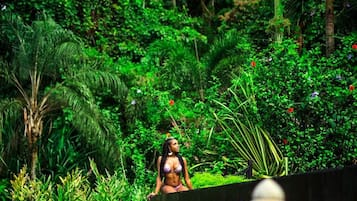 Uma estátua em um jardim exuberante, com vegetação densa e diversas plantas.