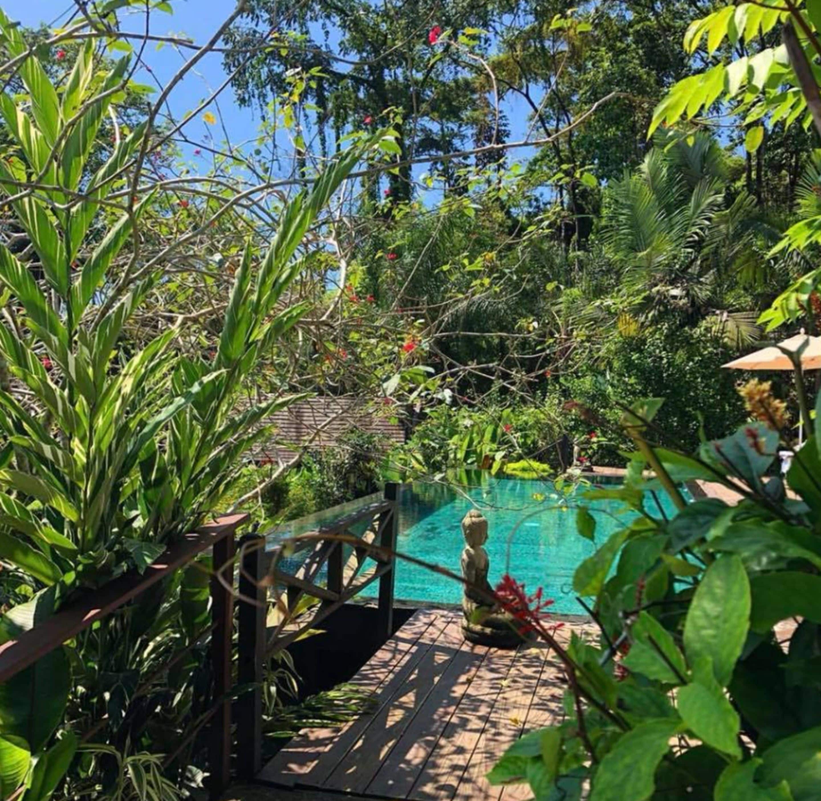Una piscina rodeada de exuberante vegetación y una terraza de madera.