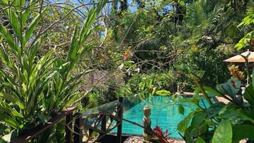 Una piscina rodeada de exuberante vegetación y una terraza de madera.