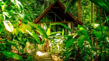 Chambre Simple Deluxe, 1 trĂšs grand lit