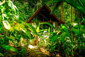 Deluxe Single Room, 1 King Bed | Premium bedding, minibar, in-room safe, blackout drapes