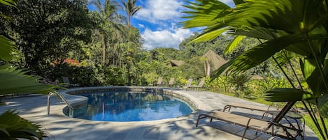 Outdoor pool, pool loungers