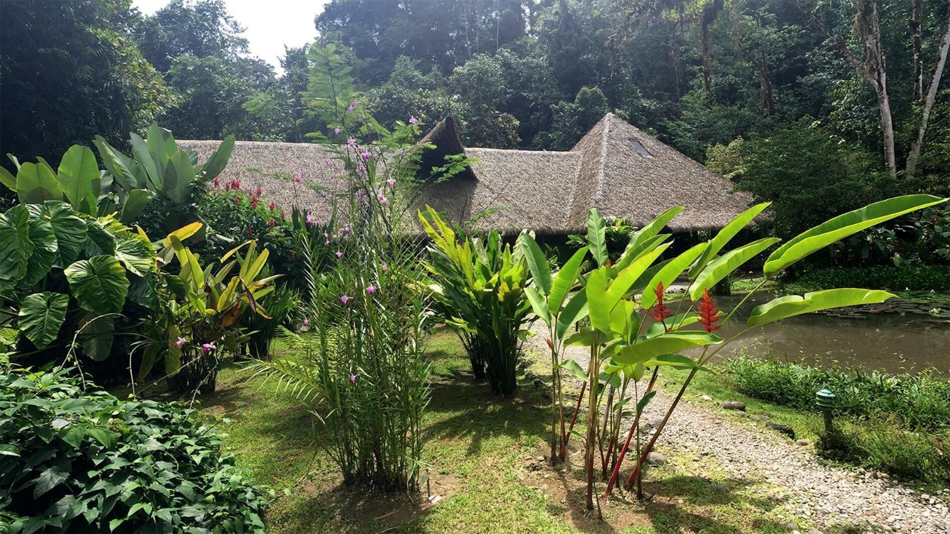 A thatched-roof building surrounded by lush greenery and a small pond.