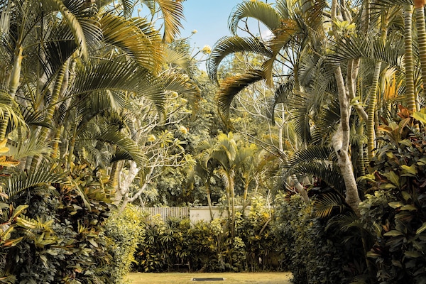 Taman