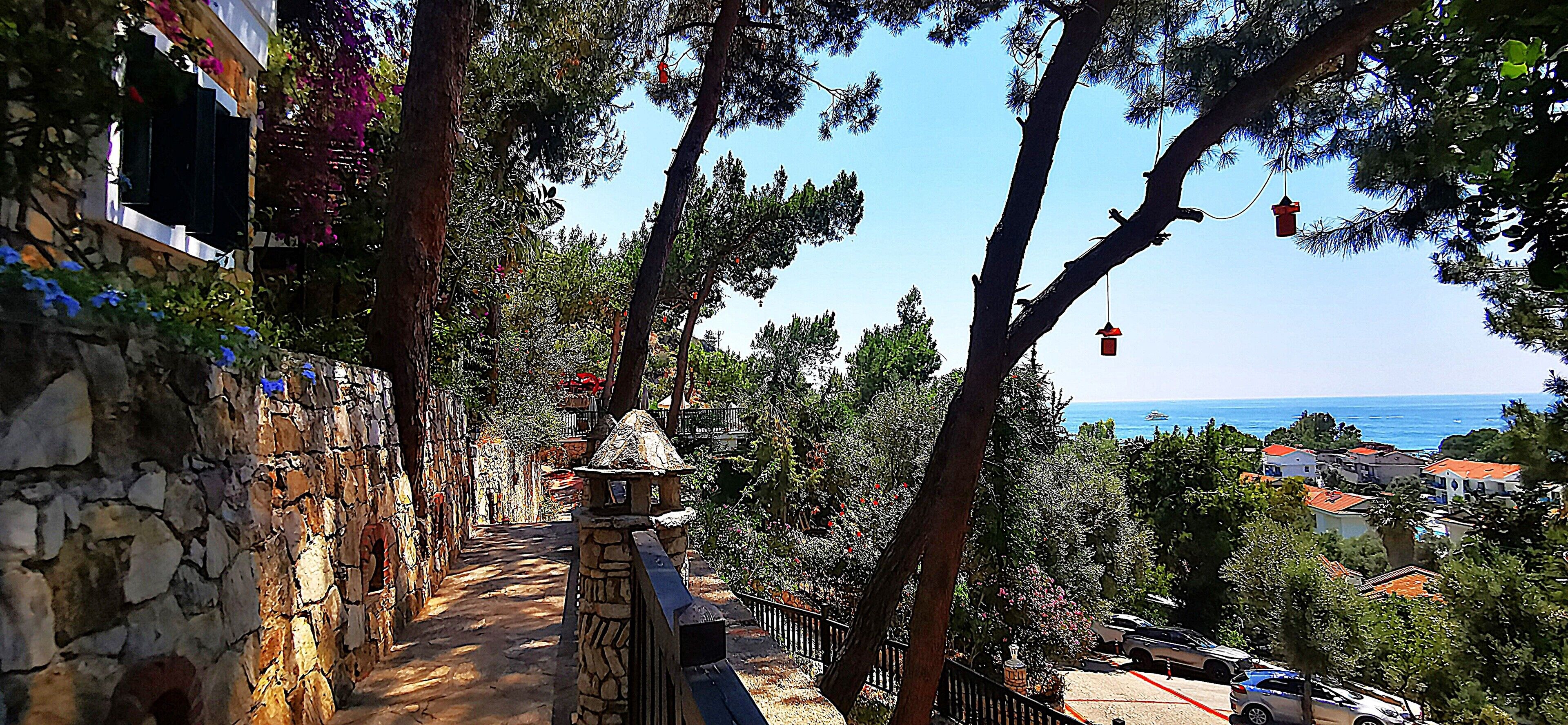 A stone pathway leading to a stone wall with a gate, surrounded by trees and a view of the sea.
