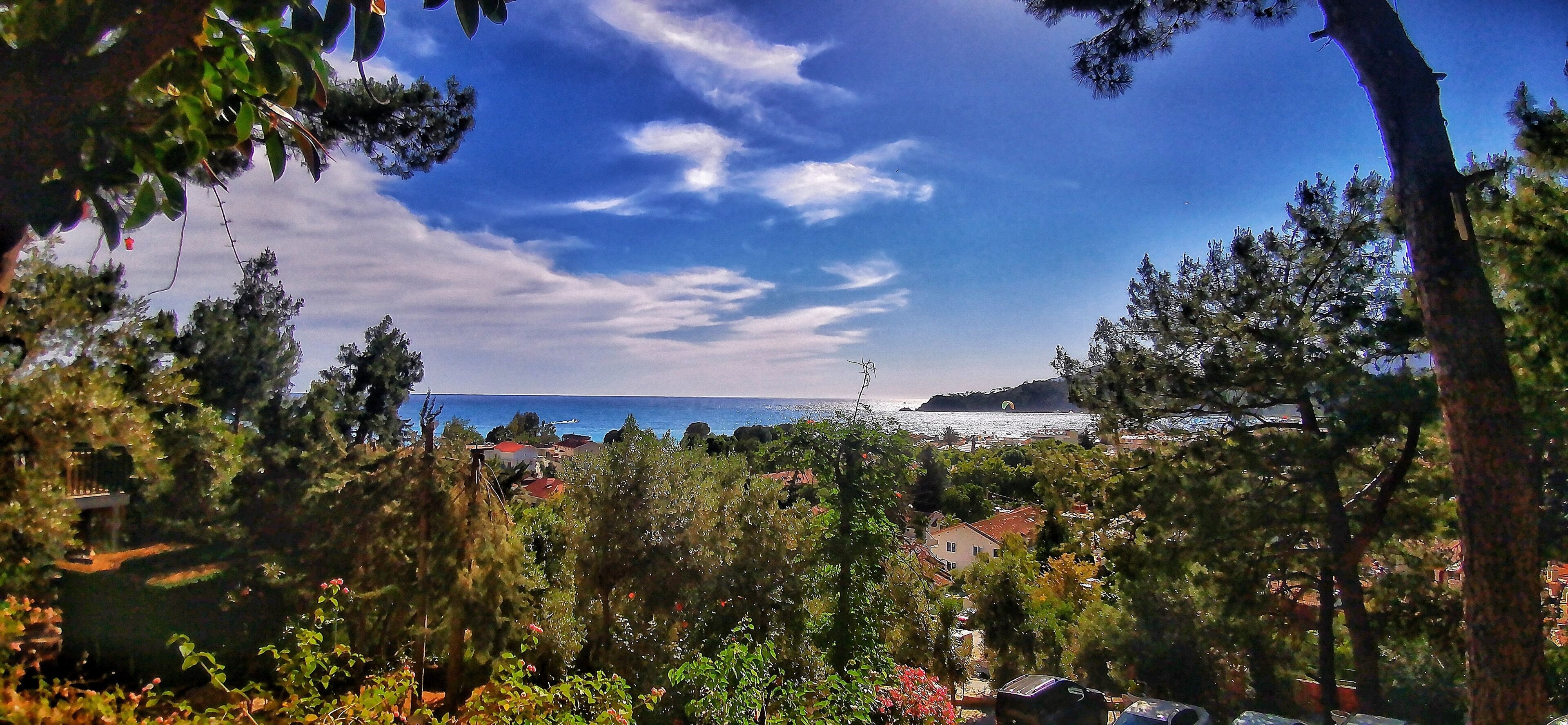 A coastal landscape with trees, houses, and a view of the sea.