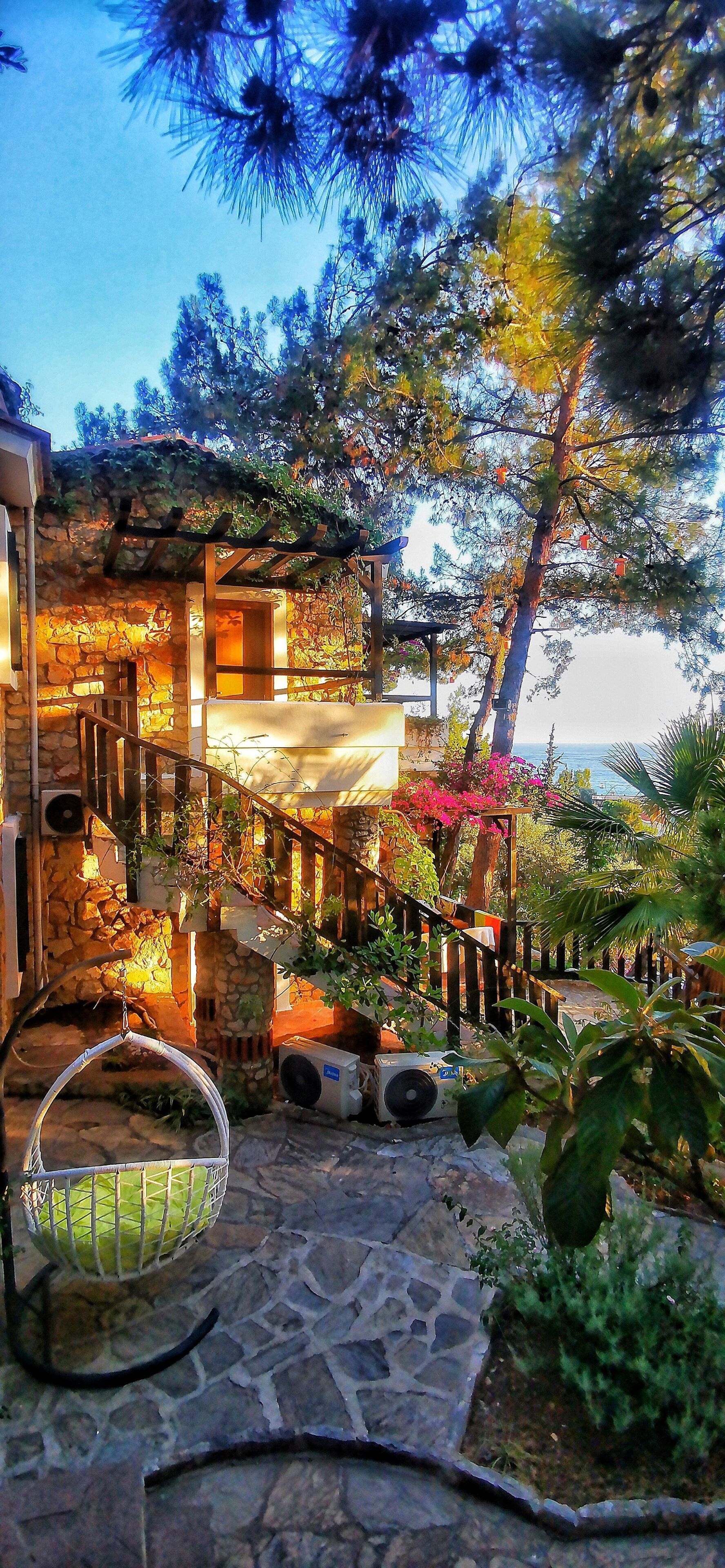 Una scala in pietra conduce a un pontile in legno con una pergola, immersa nel verde e con vista sul mare.