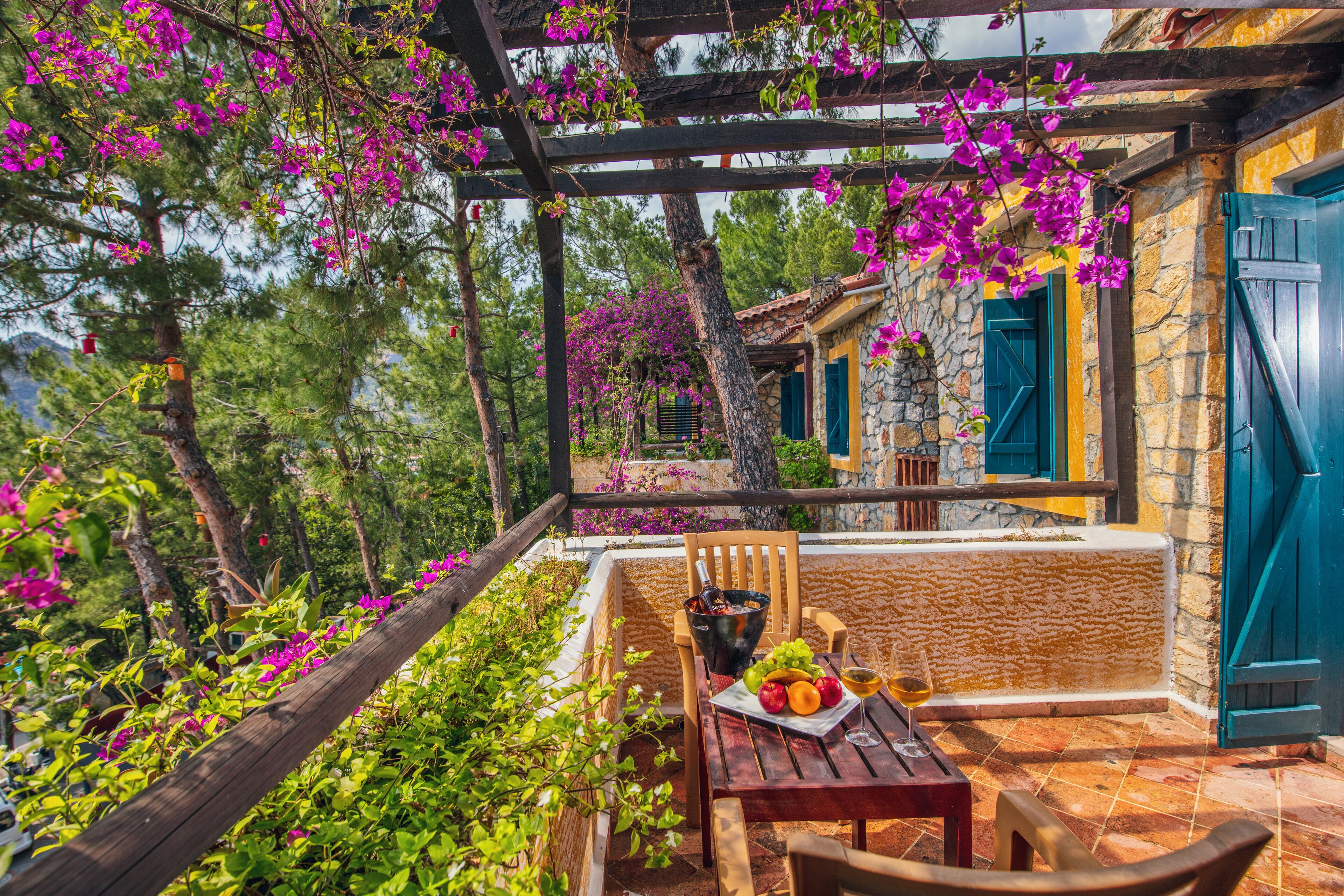 Vista desde la propiedad