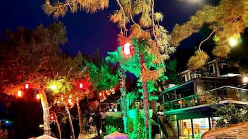 Fachada del alojamiento - Noche